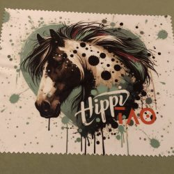 Chiffon pour nettoyer les lunettes